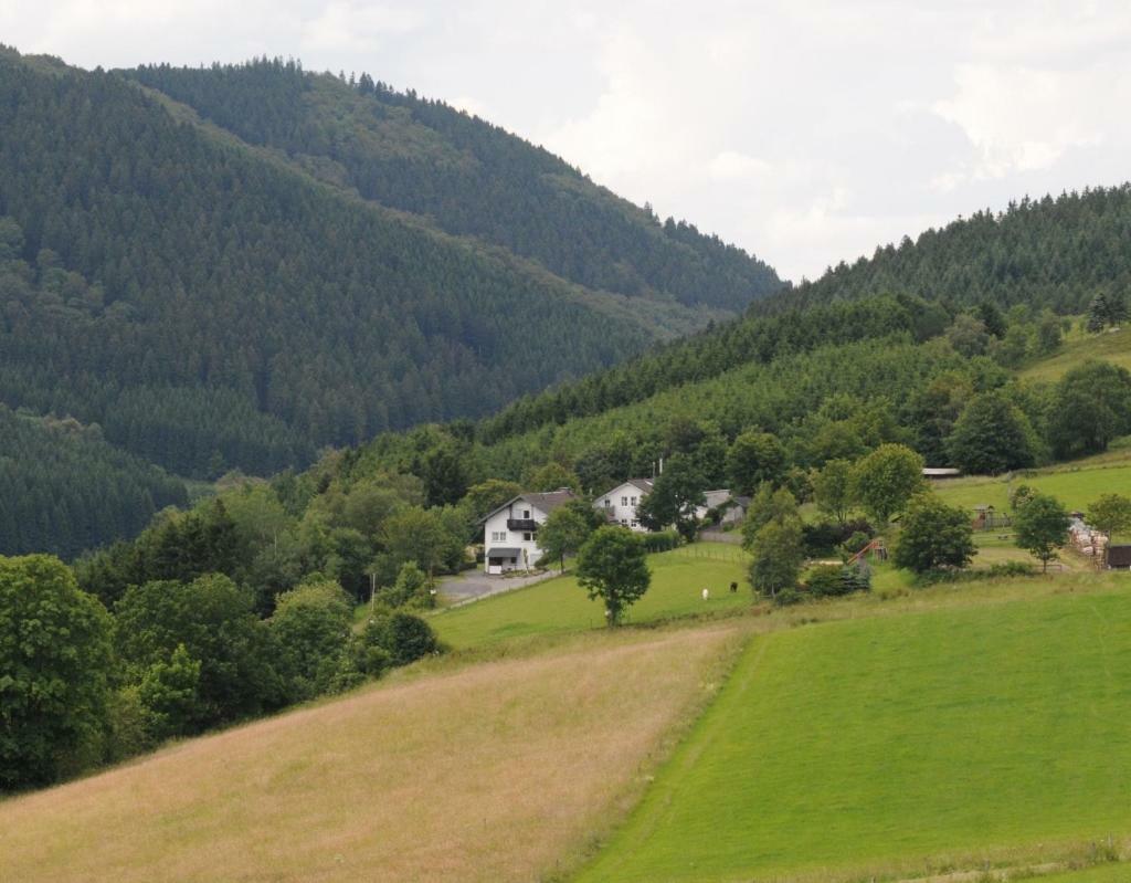 Duempelhof Ferienwohnungen Olsberg Exterior foto