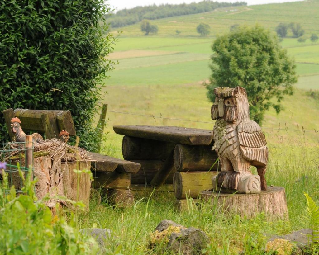 Duempelhof Ferienwohnungen Olsberg Exterior foto